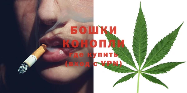 гидра Баксан