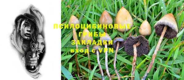 гидра Баксан