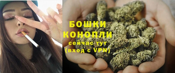 тгк Тайга